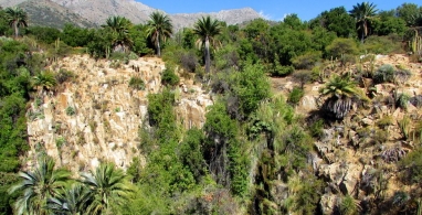 Parque Nacional la Campana